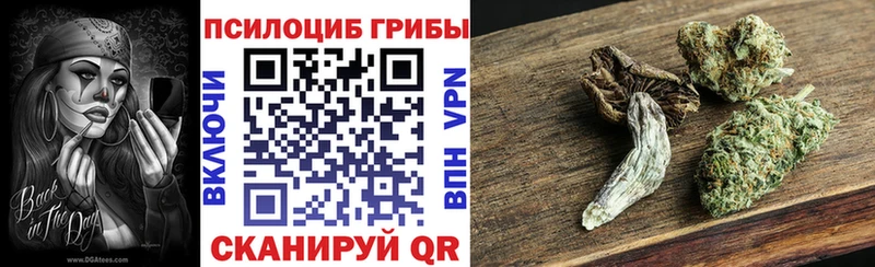сколько стоит  Шахунья  Псилоцибиновые грибы GOLDEN TEACHER 